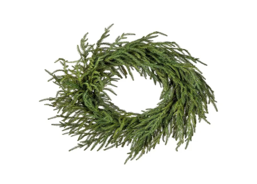 “24-Inch Garden Norfolk Pine Wreath with Natural Frost Touch: Elegant Holiday Decoration for a Wintery Look