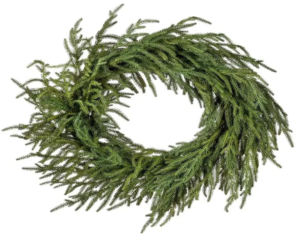 “24-Inch Garden Norfolk Pine Wreath with Natural Frost Touch: Elegant Holiday Decoration for a Wintery Look