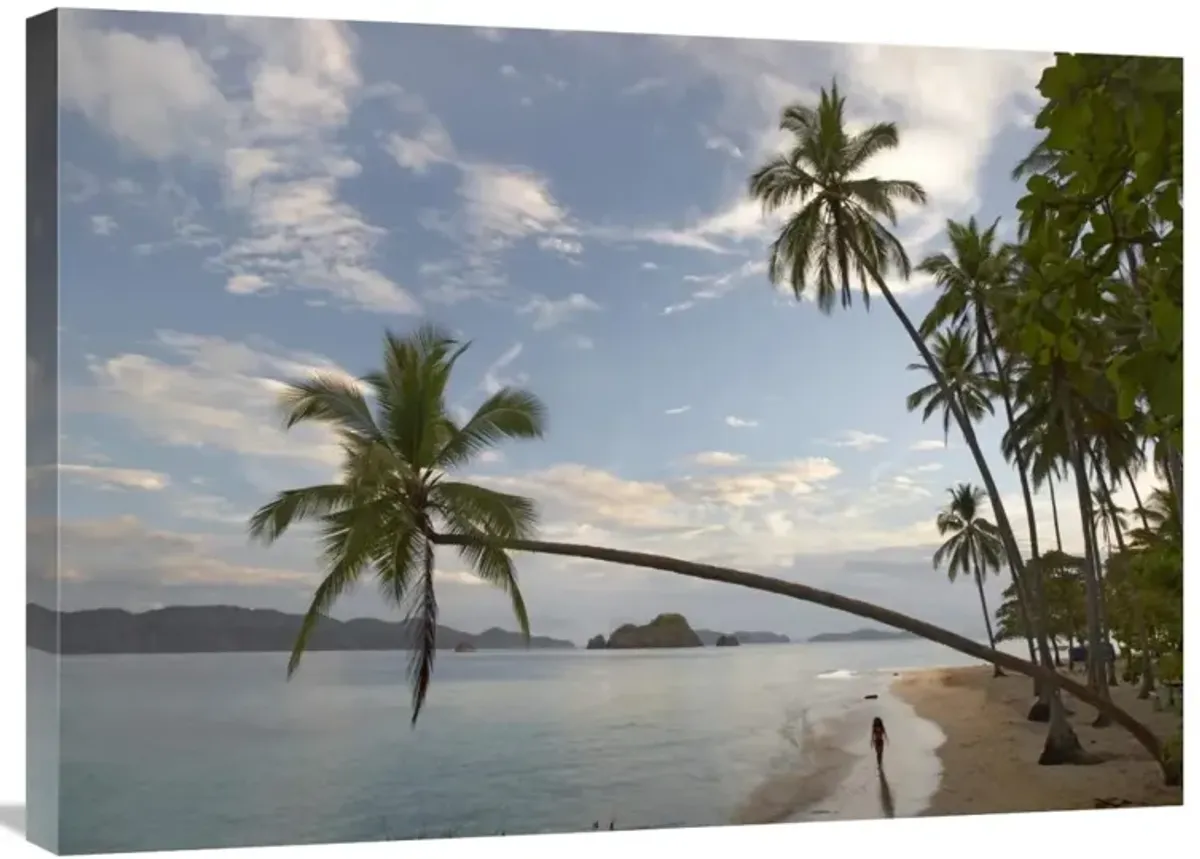 Tourist walking along beach, Tortuga Island, Costa Rica-Canvas Art-32x24