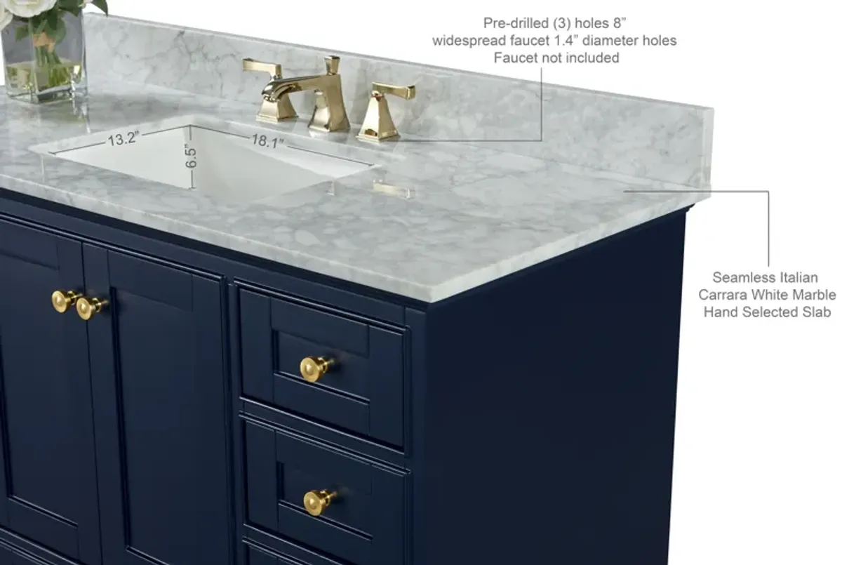 Audrey 48 in. Bath Vanity Set