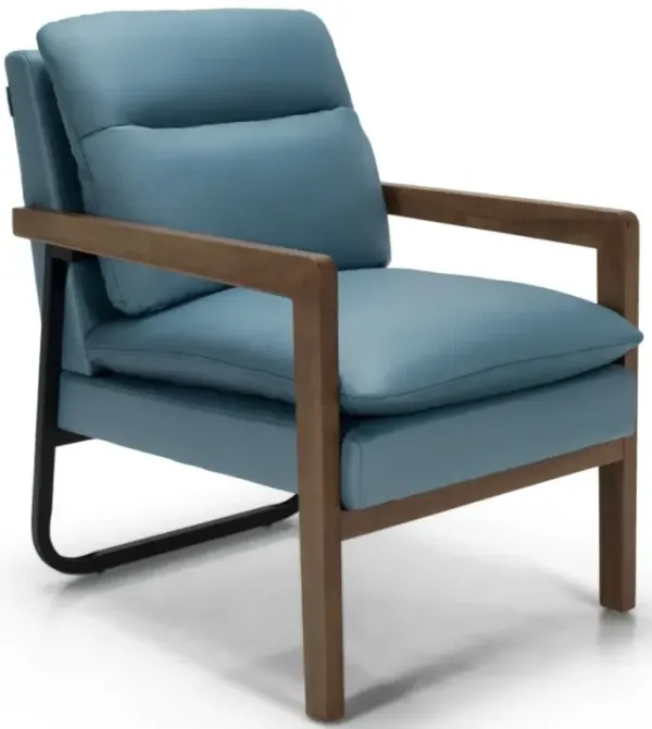 Hivago Single Sofa Chair with Extra-Thick Padded Backrest and Seat Cushion