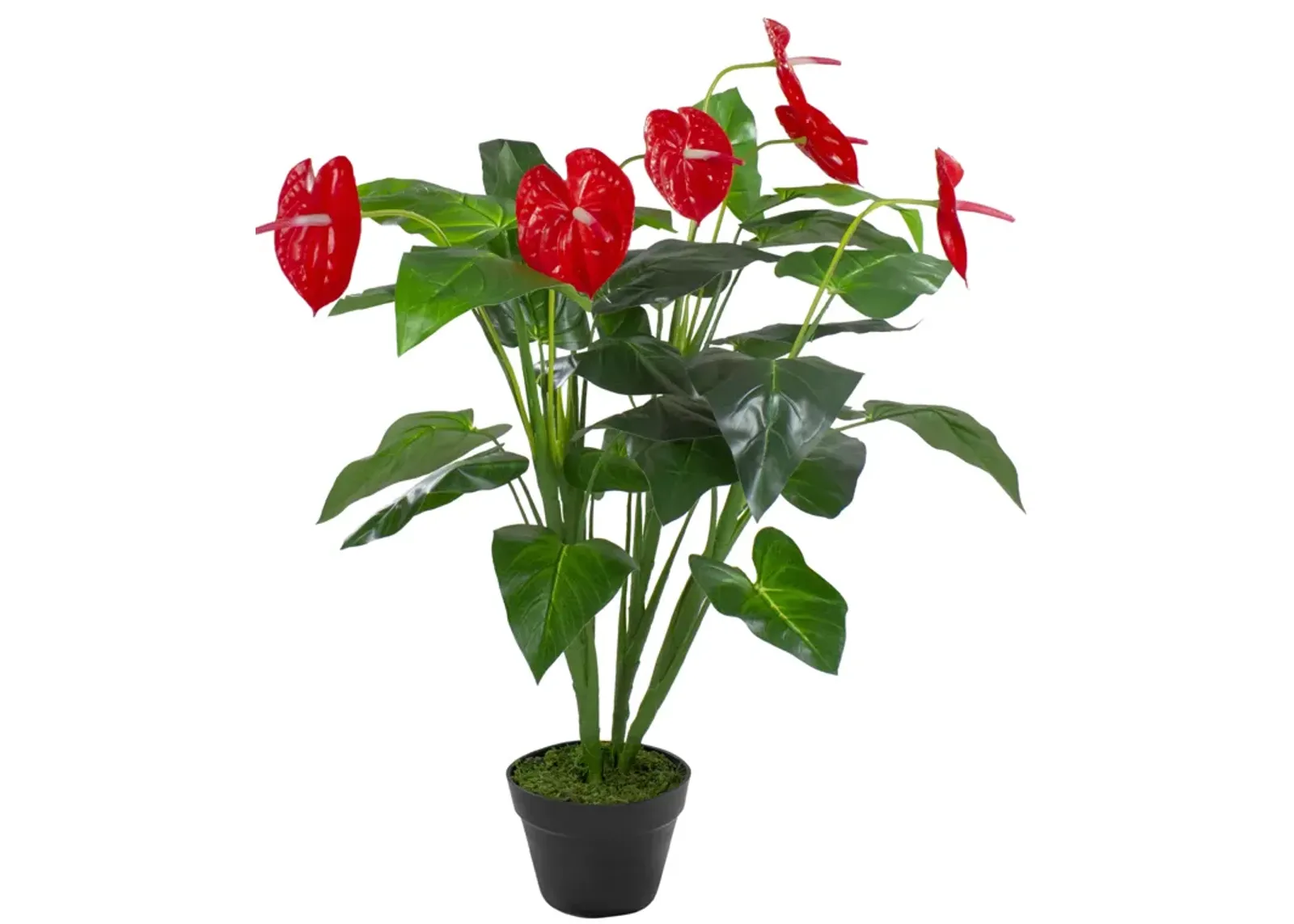 41" Red and Black Potted Tropical Artificial Anthurium Plant In a Black Pot