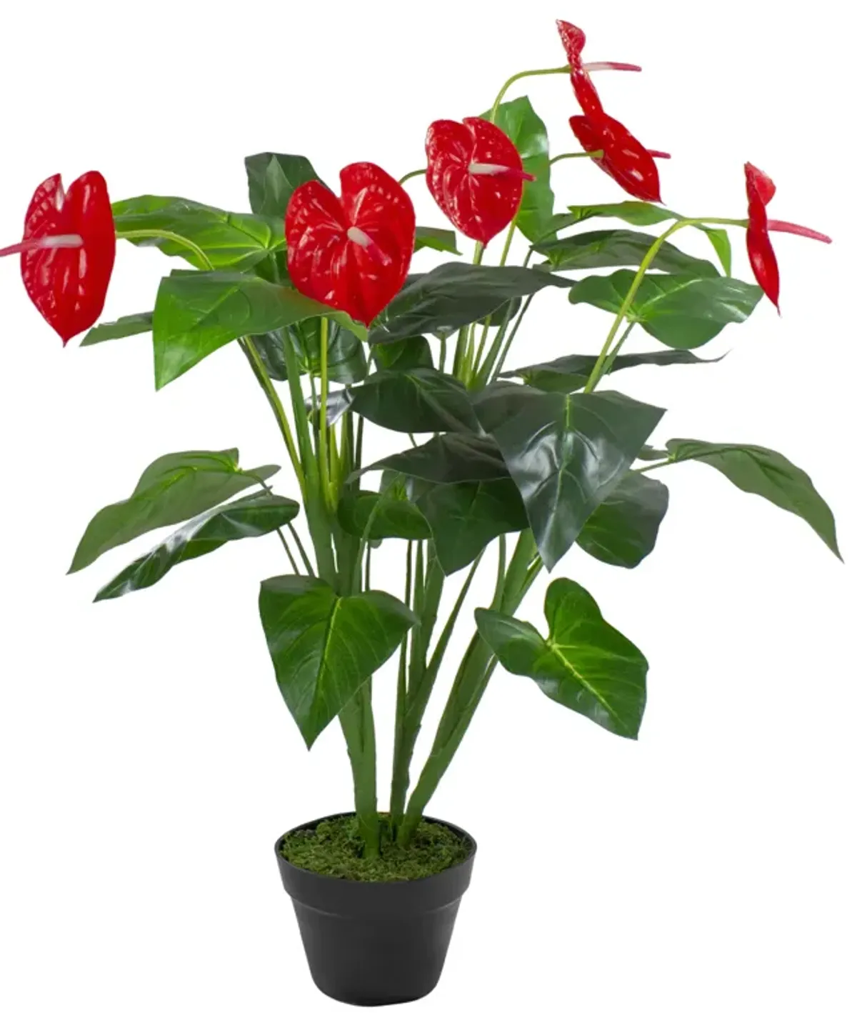 41" Red and Black Potted Tropical Artificial Anthurium Plant In a Black Pot