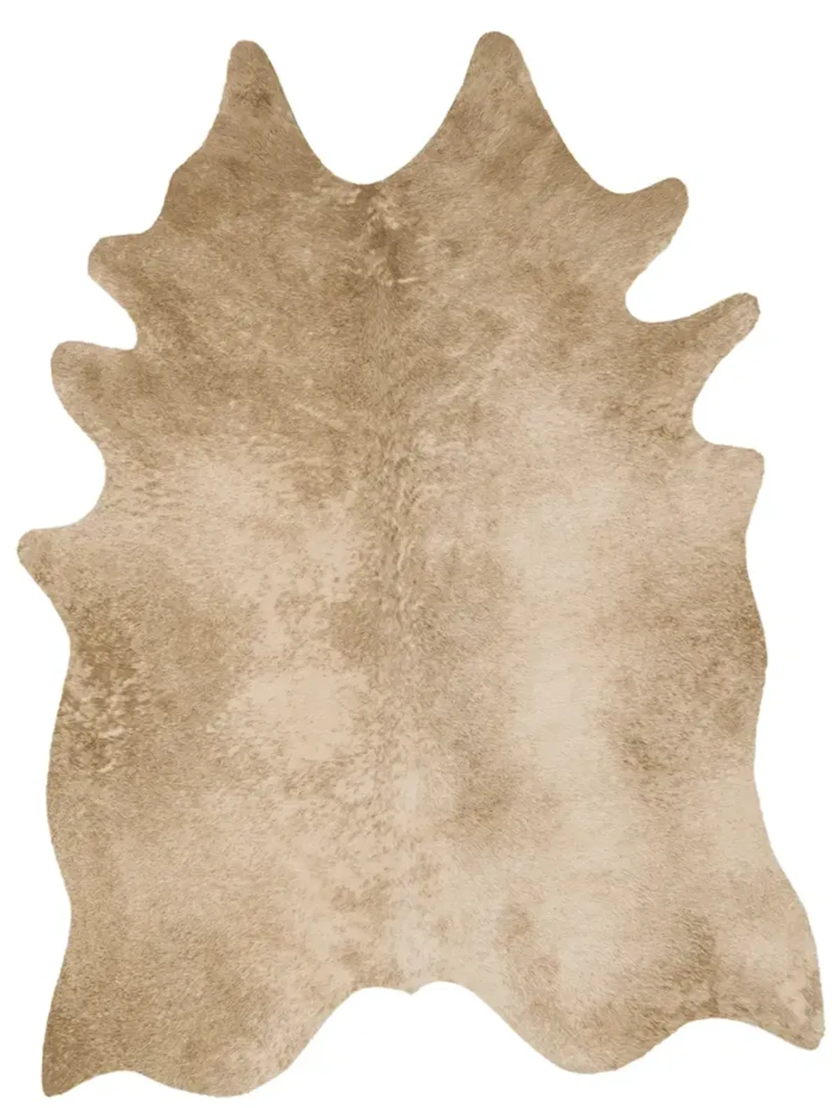 Grand Canyon Tan 3'10" x 5' Rug