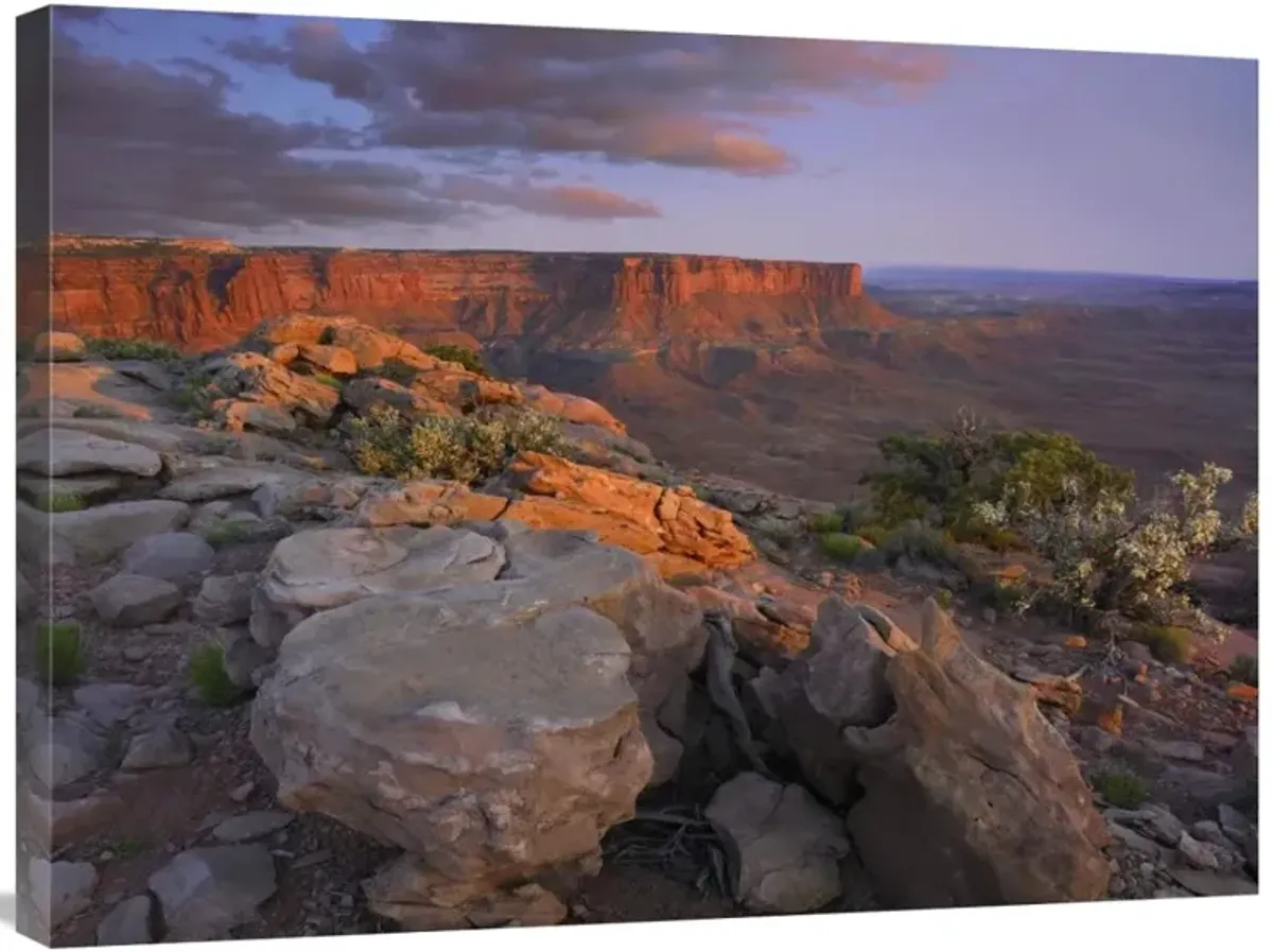 View from the Green River Overlook, Canyonlands National Park, Utah-Canvas Art-32x24