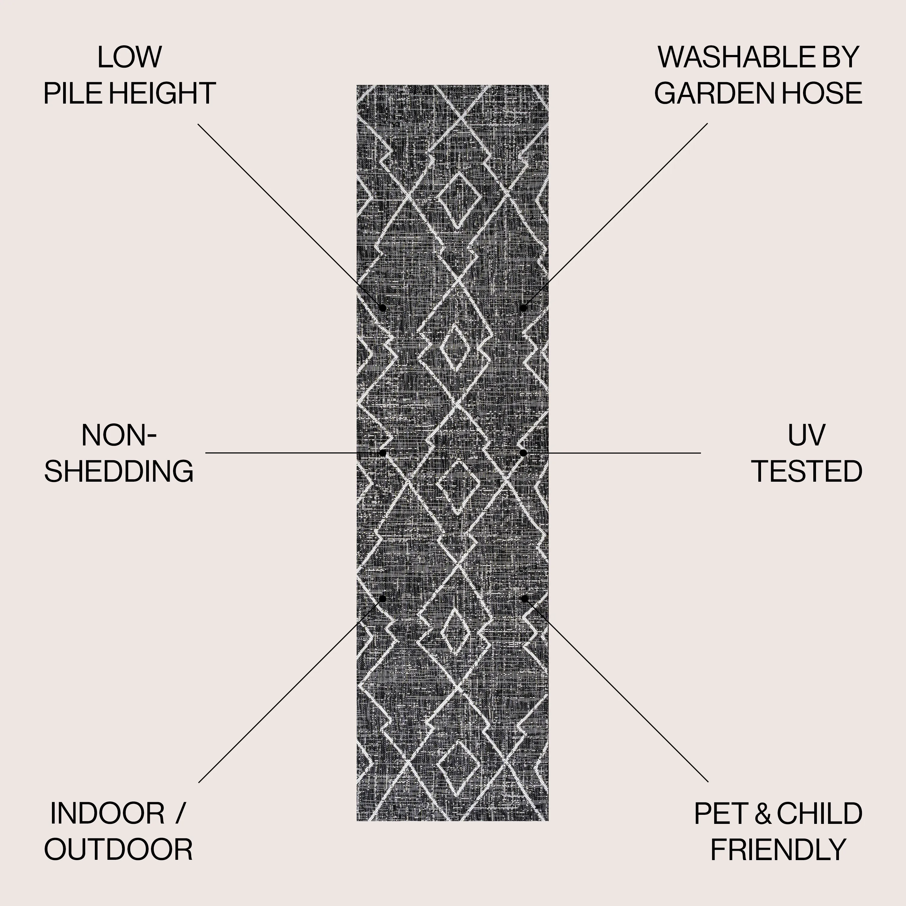 Carwa Tribal Diamond Trellis Indoor/Outdoor Area Rug