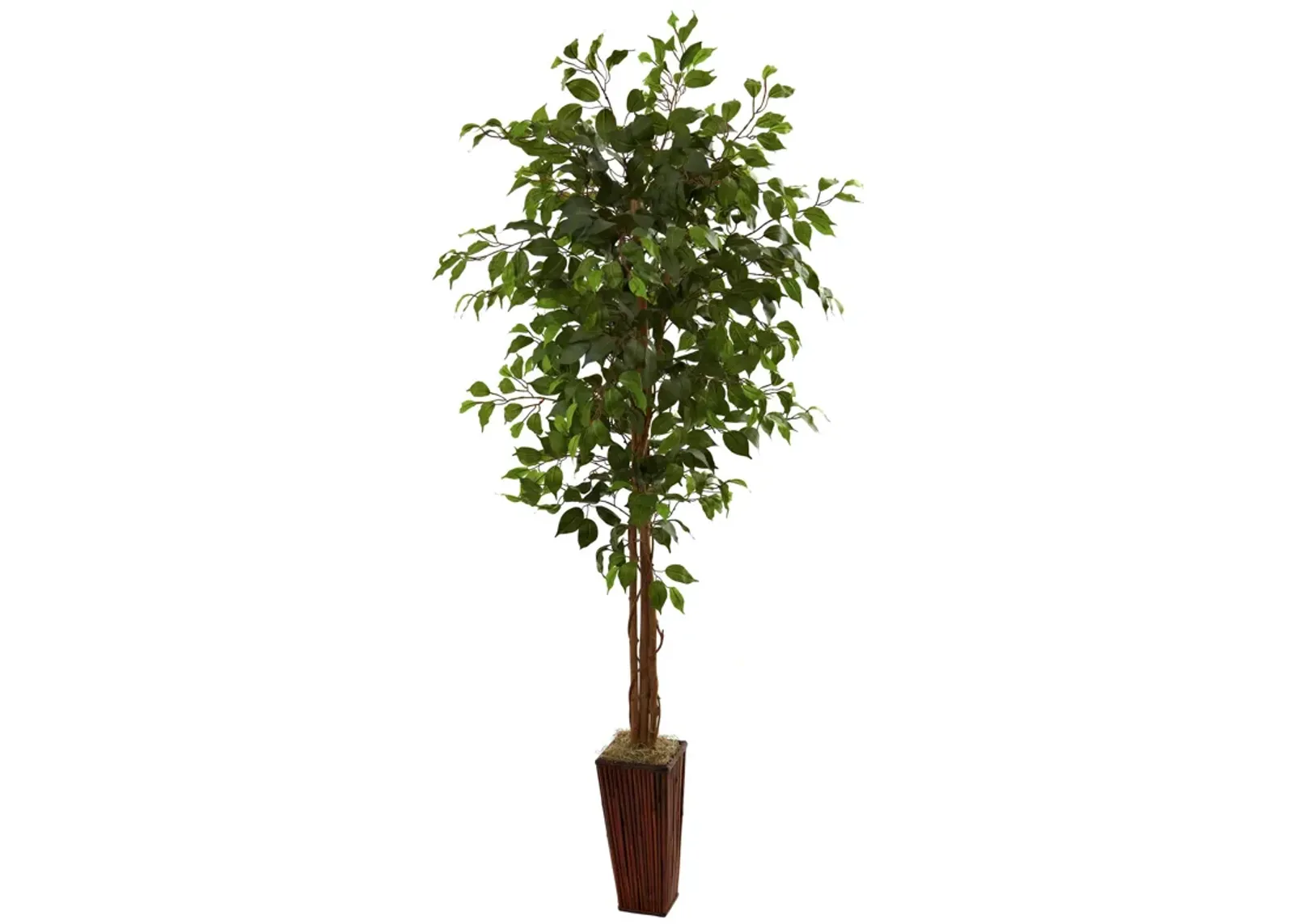 HomPlanti 6 Feet Ficus Tree w/Bamboo Planter