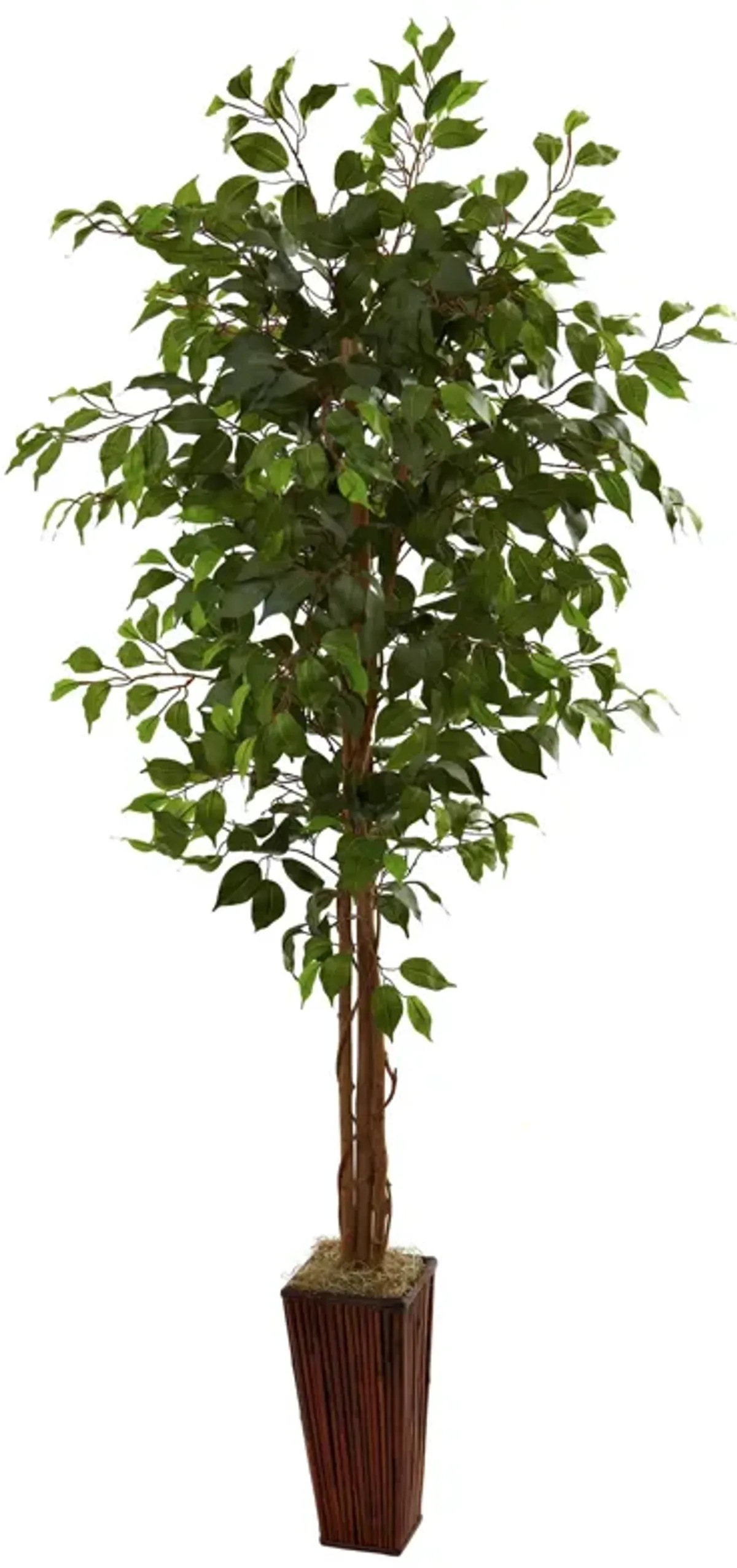 HomPlanti 6 Feet Ficus Tree w/Bamboo Planter