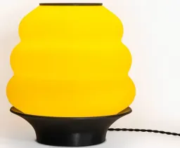 Yellow/Black color