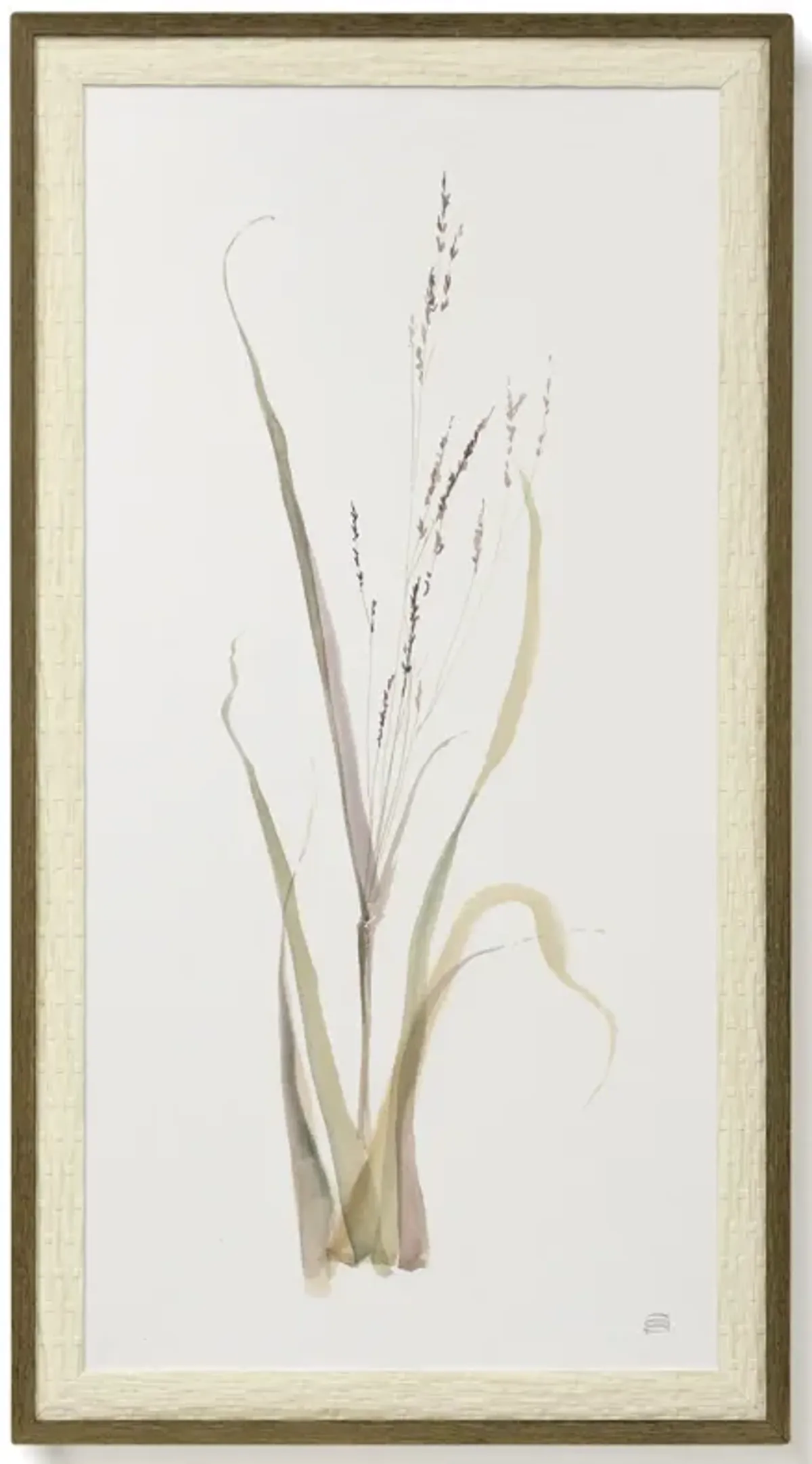 Moor Grass