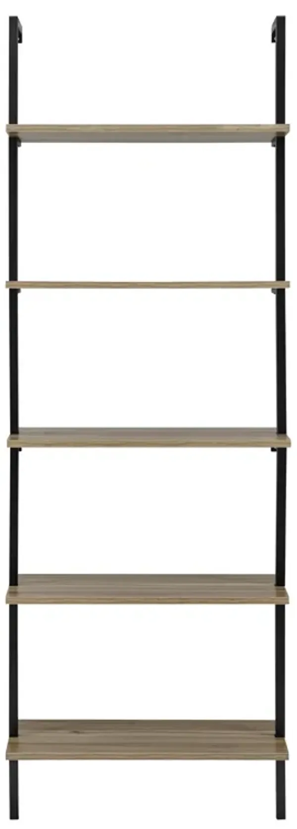 Everett 5-Tier Open Display Stand Wall Mount Modern Metal Frame Ladder Shelf