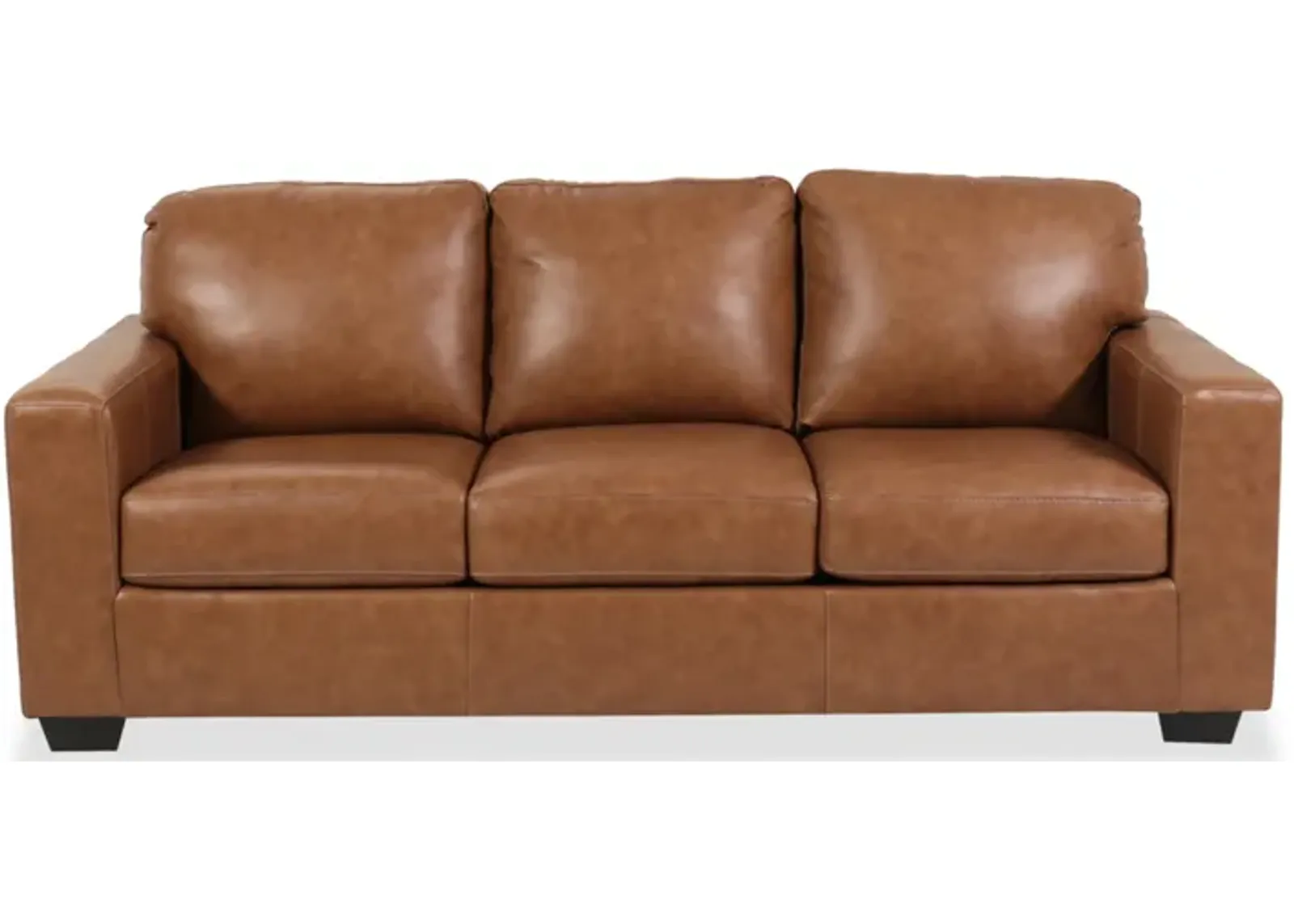 Bolsena Queen Leather Sofa Sleeper