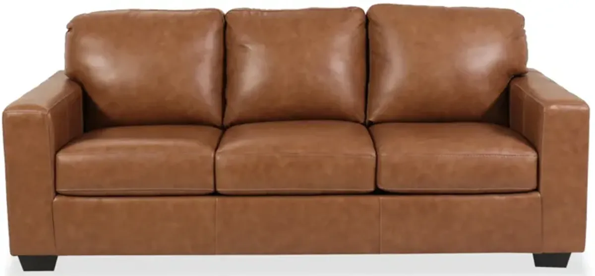 Bolsena Queen Leather Sofa Sleeper