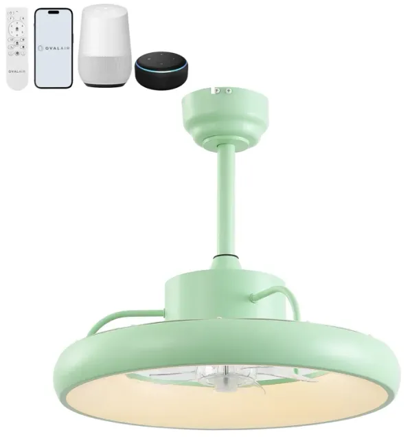 Loren Modern Contemporary 6-Speed Metal Mobile-App/Remote-Controlled Dimmable Smart Integrated LED Ceiling Fan