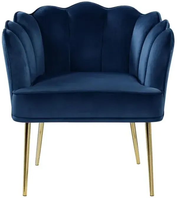 Jackie Navy Velvet Accent Chair with Gold Legs