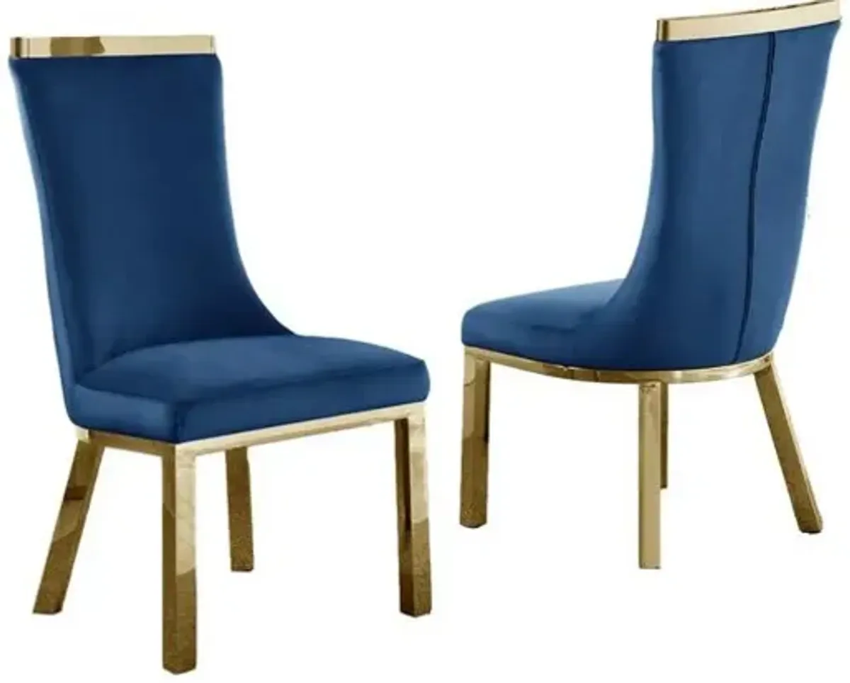 Upholstered dining chairs set of 2 in Navy blue velvet fabric, gold colored stainless steel base