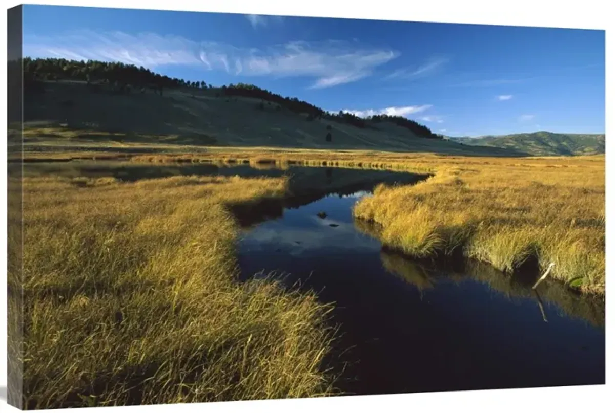 Blacktail Lake, Yellowstone National Park, Wyoming-Canvas Art-36x24