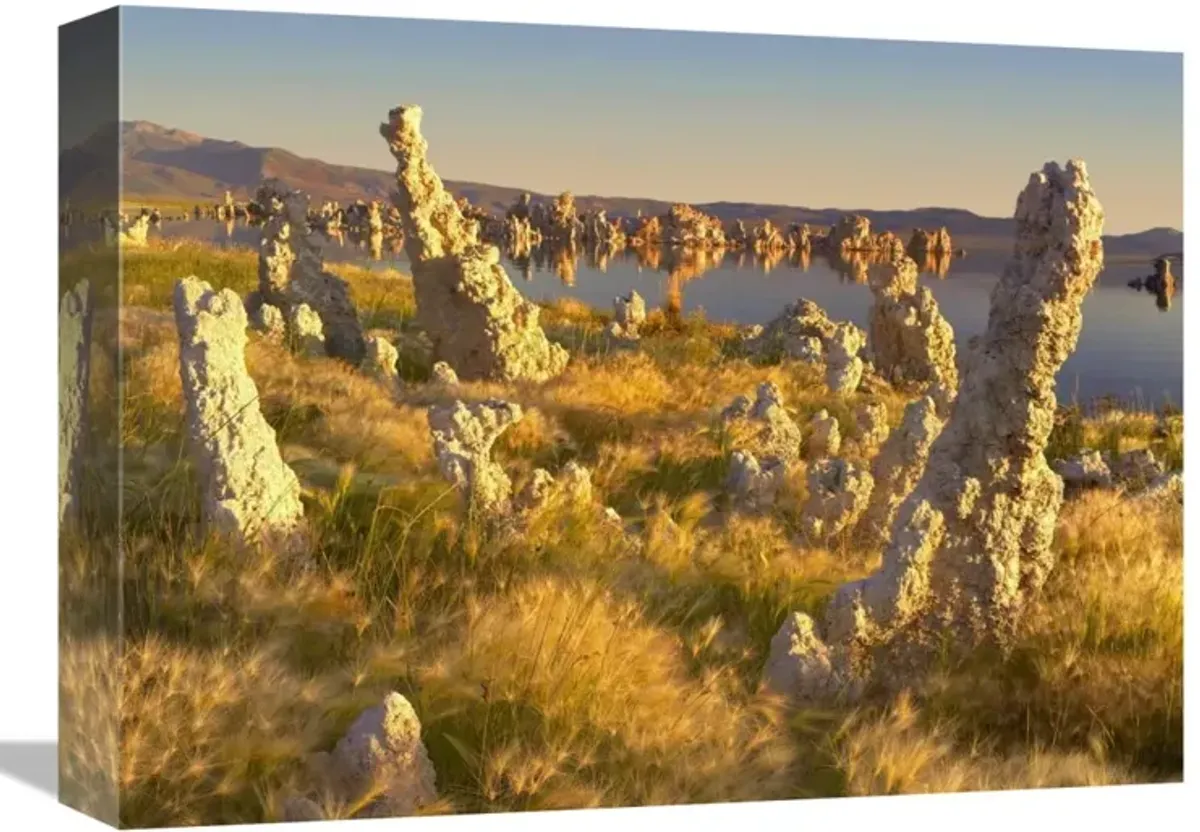 Wind and rain eroded tufa towers amid Squirreltail Barley Mono Lake, California-Canvas Art-16x12