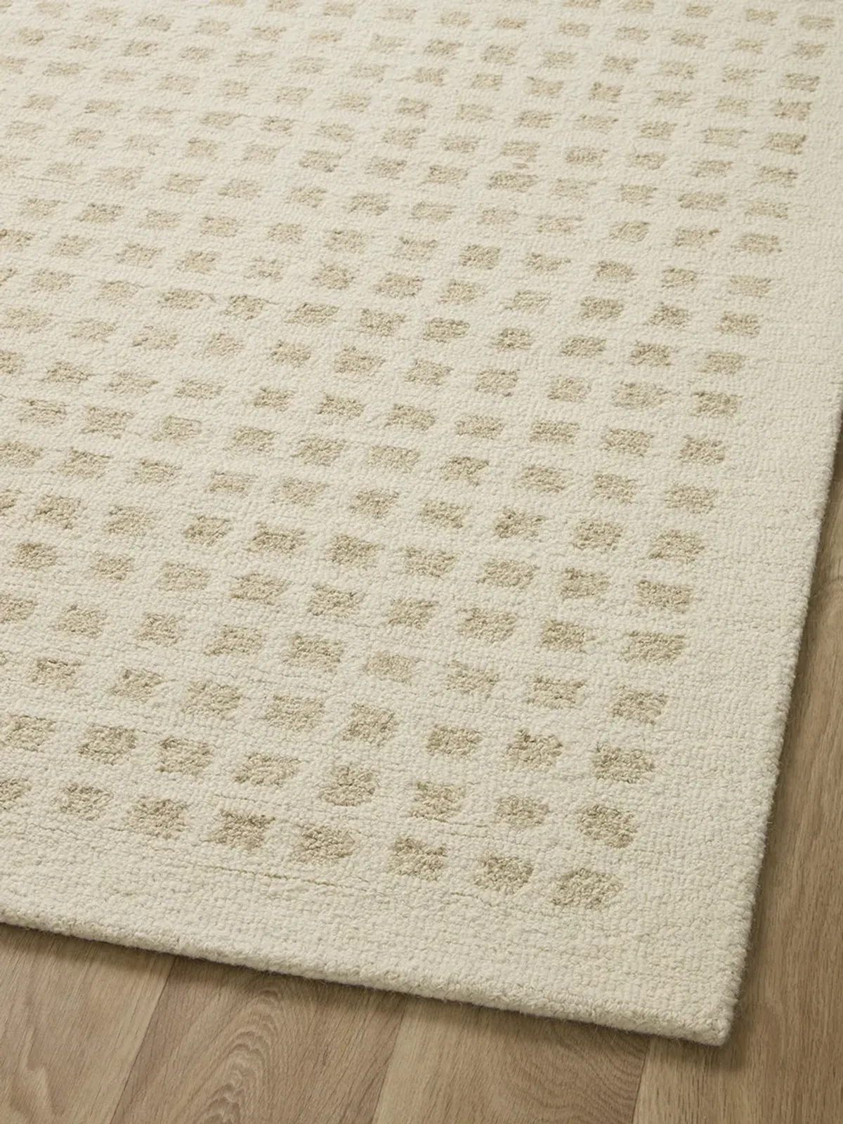 Polly POL01 2'" x 5'" Rug