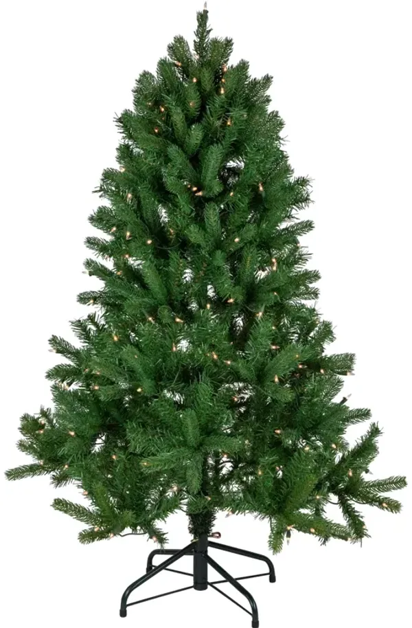 4' Pre-Lit Sierra Noble Fir Artificial Christmas Tree  Clear Lights