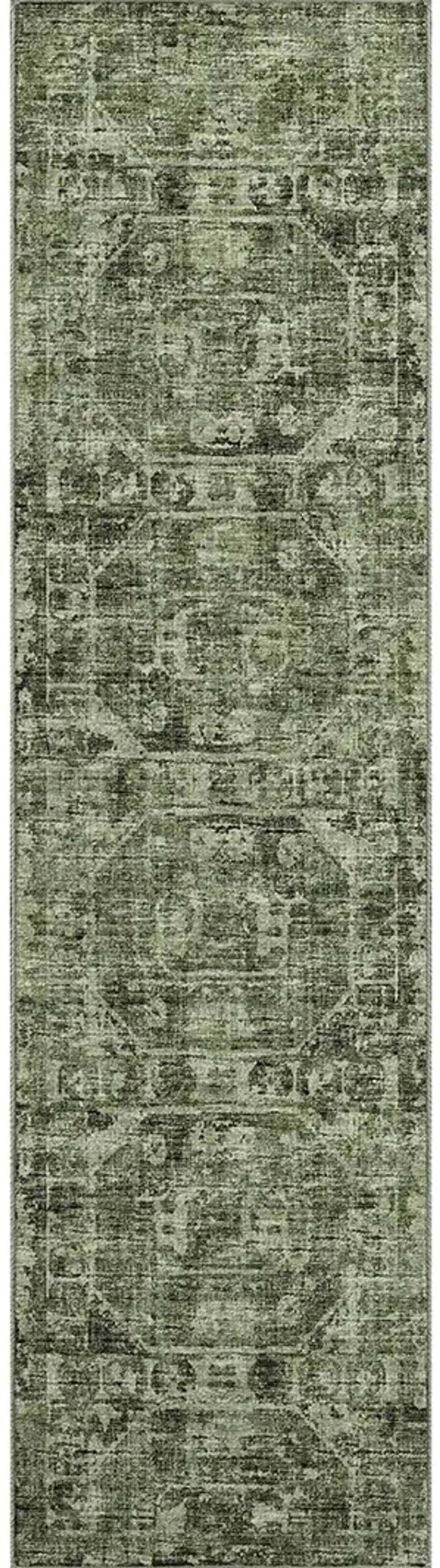 Aberdeen AB2 Cactus 2'3" x 7'6" Rug