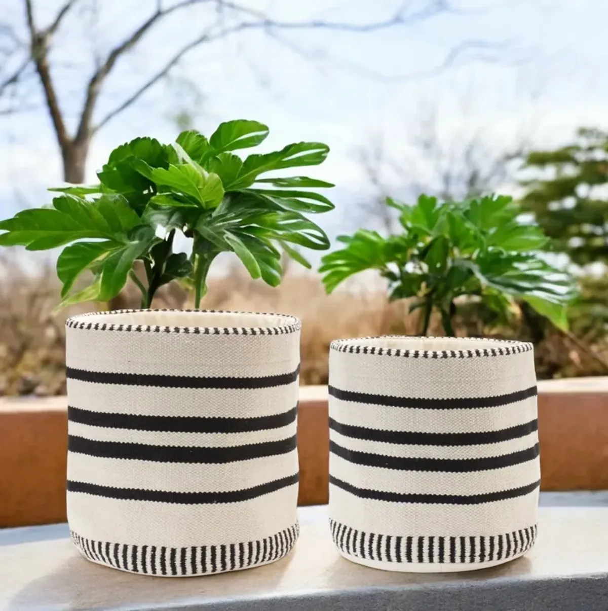 Basket Set of 2 - Stylish and Functional Storage Bins for Home Organization