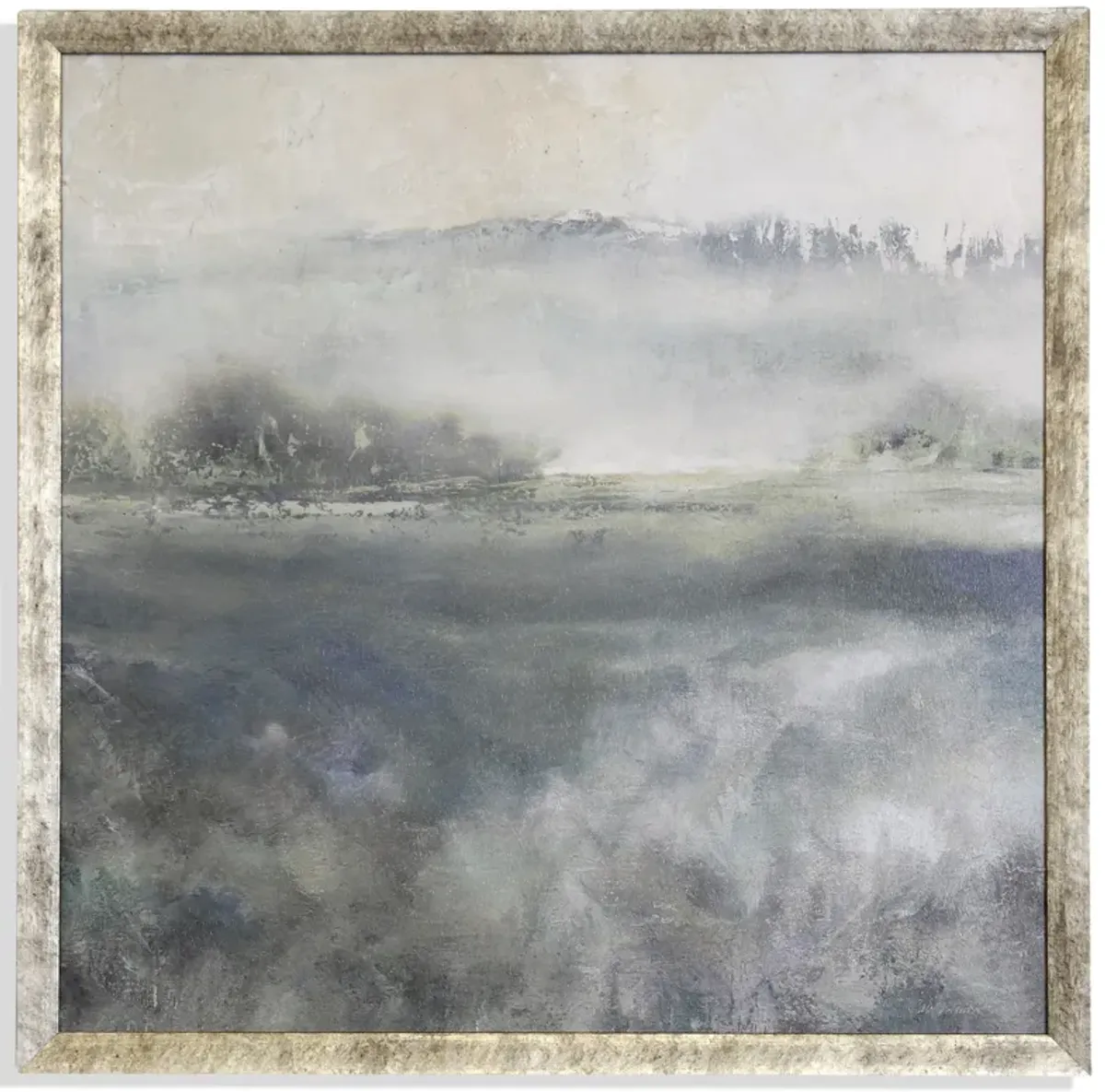 Cool Misty Morning