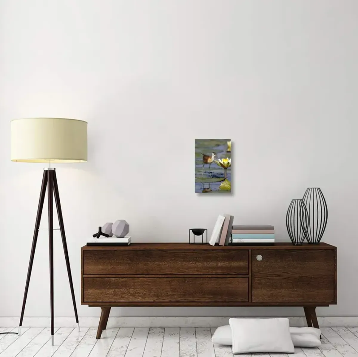 African Jacana juvenile foraging for insects in water lily flower, Okavango Delta, Botswana-Canvas Art-12x18