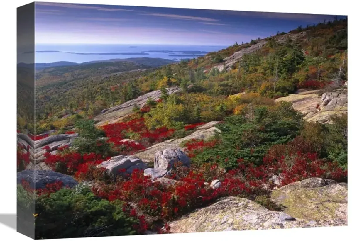 Atlantic coast from Cadillac Mountain, Acadia National Park, Maine-Canvas Art-16x12
