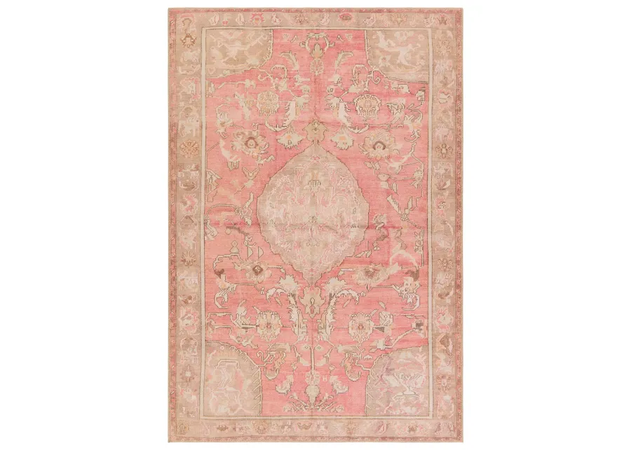 Garcia Cheney Pink 8' x 10' Rug