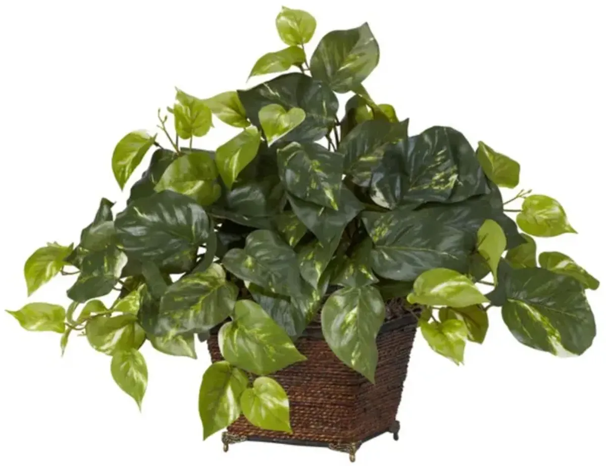 Hivvago Pothos w/Coiled Rope Planter Silk Plant