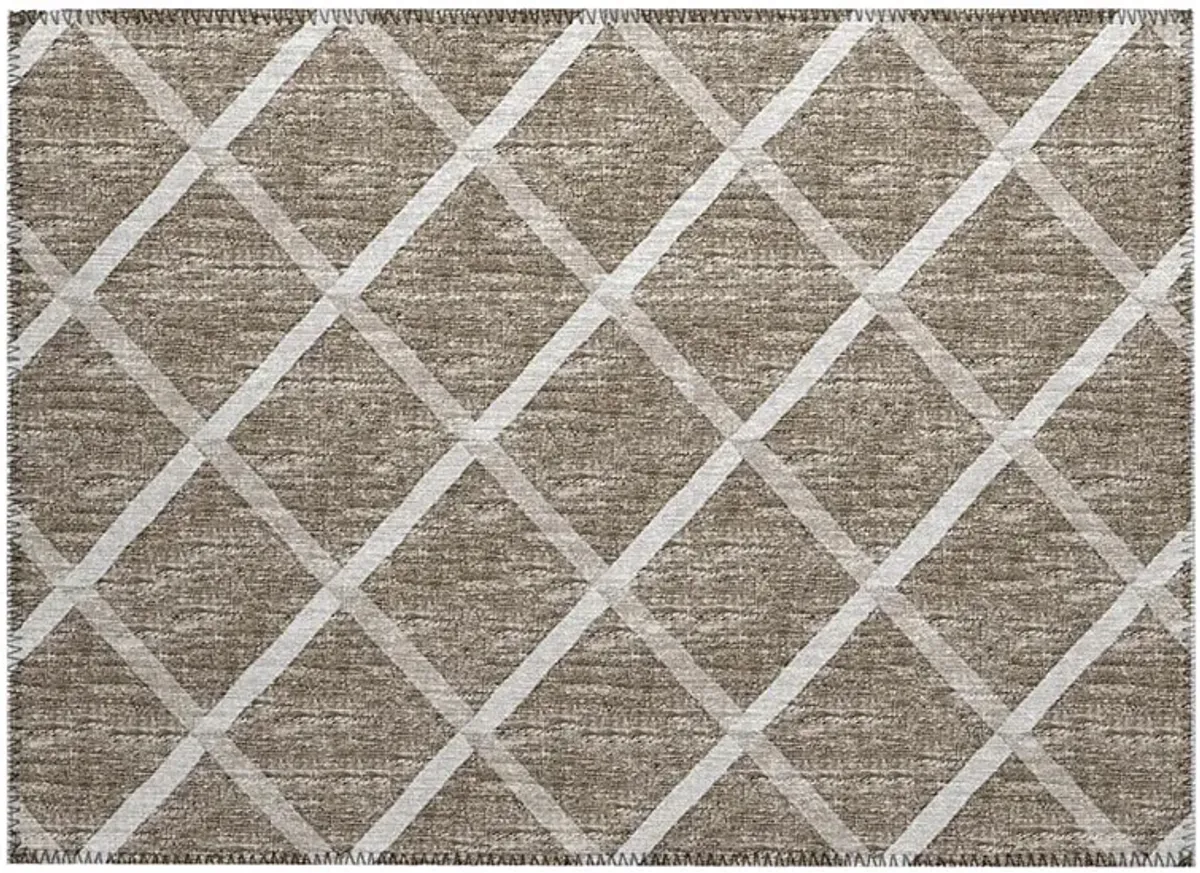 York YO1 Taupe 20" x 30" Rug