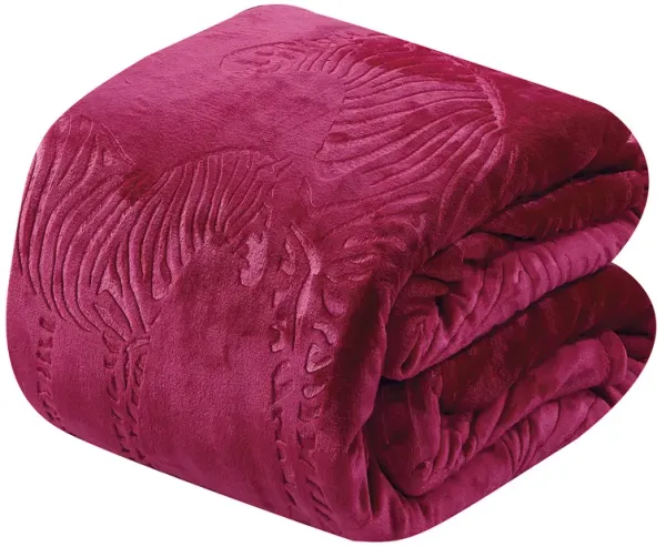 Zebra Print Microplush Best Quality Super Premium Fuzzy Soft Plush All Season Blanket