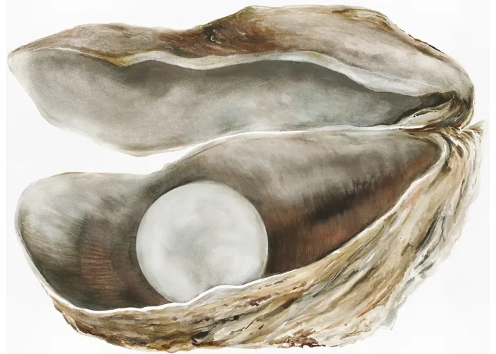 Oyster 4