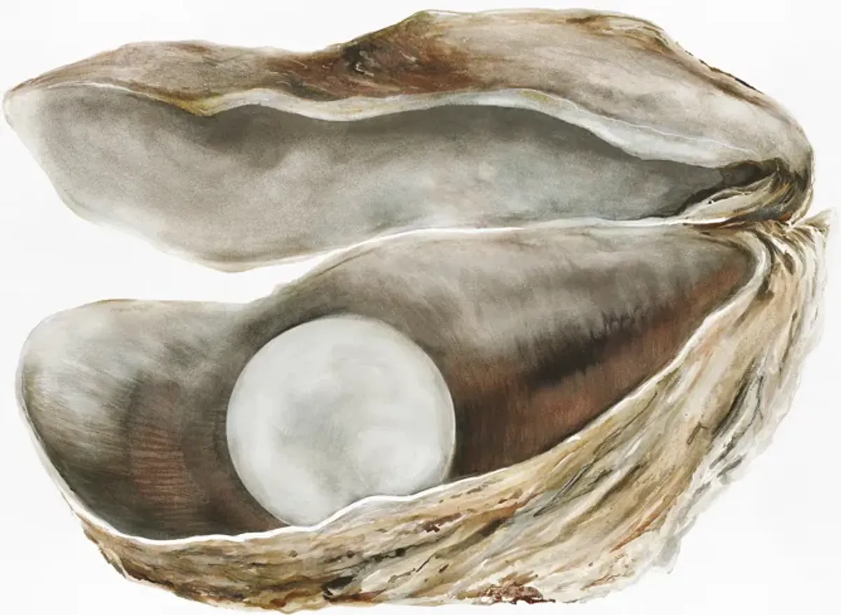 Oyster 4