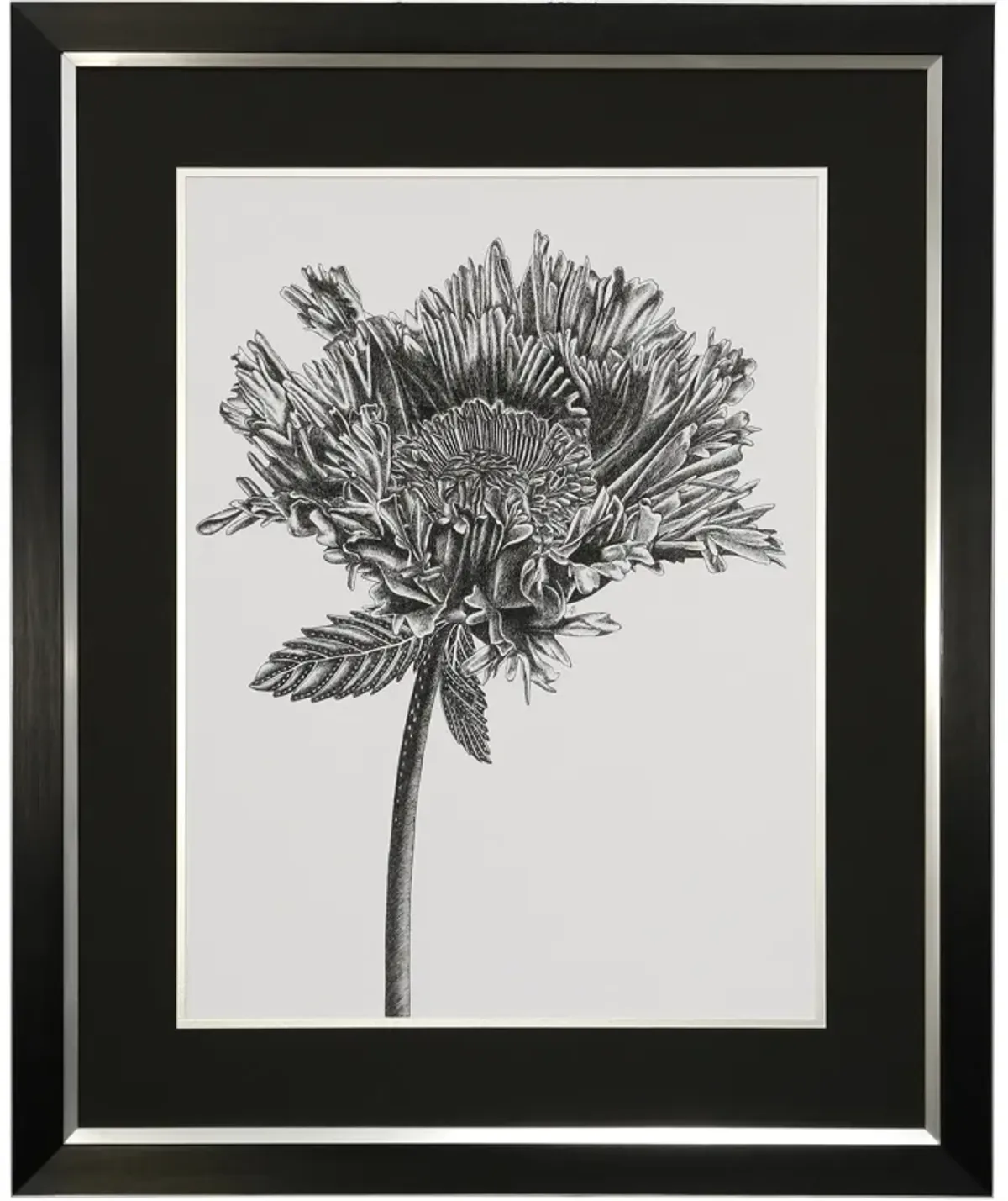 Grow Framed Print