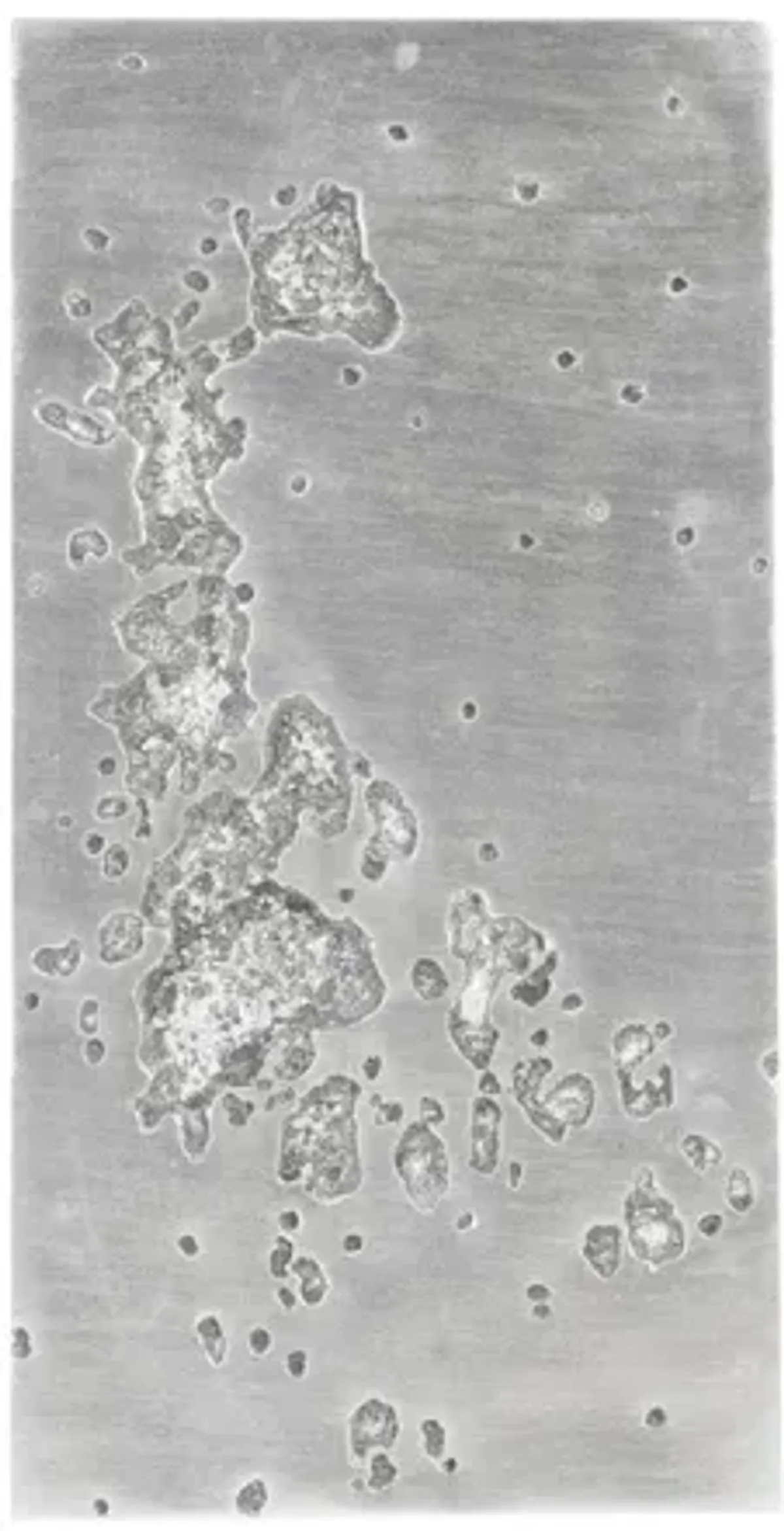 Splotch Rectangle Wall Art A