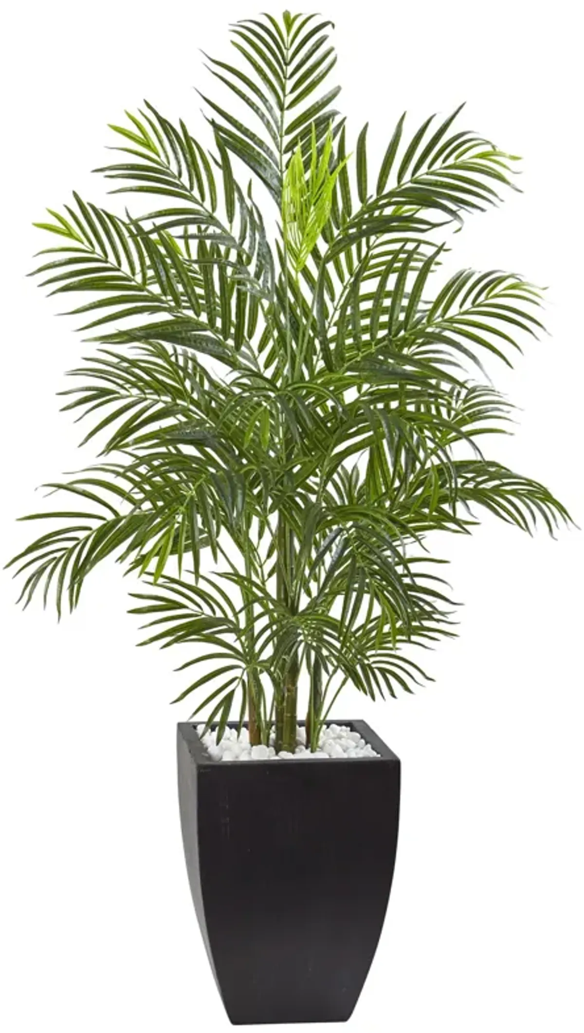 HomPlanti 4.5 Feet Areca Palm Tree with Black Wash Planter UV Resistant (Indoor/Outdoor)