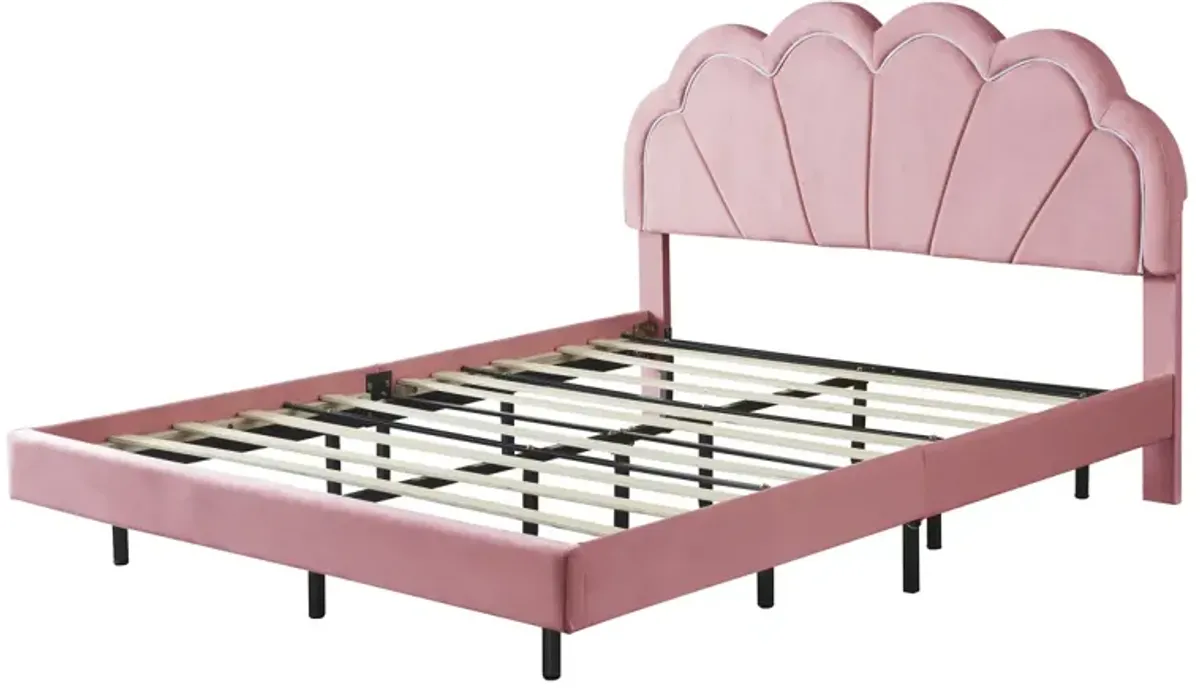 LED Platform Bed with Upholstered Headboard