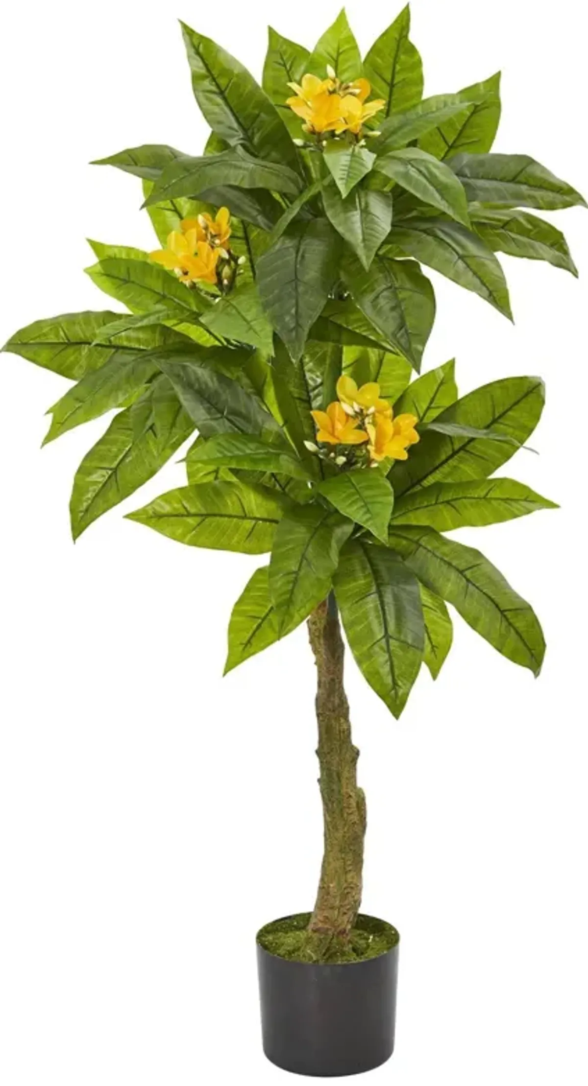 Nearly Natural 4-ft Plumeria Artificial Tree UV Resistant (Indoor/Outdoor)
