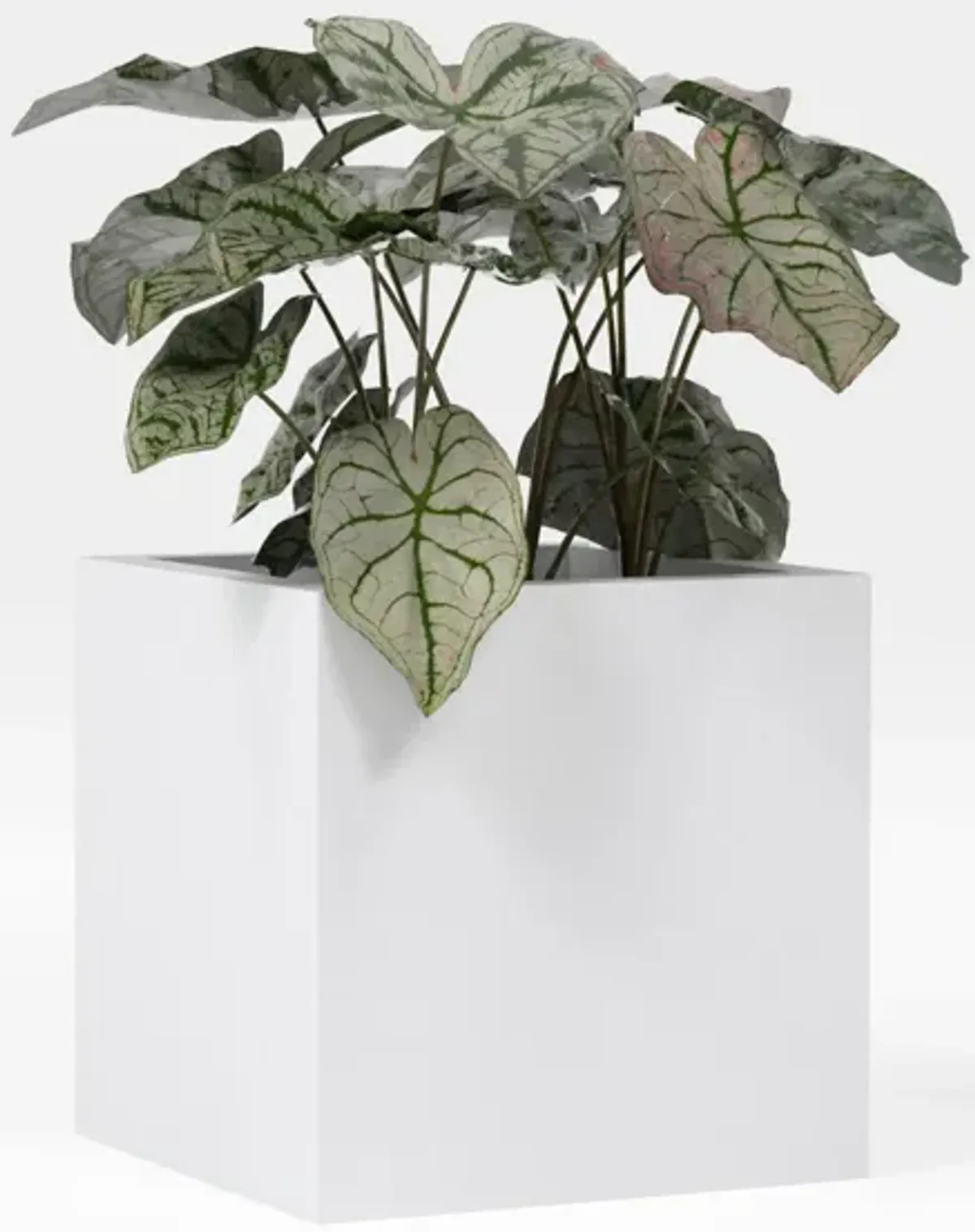 Greenline Fiberglass Jack Medium Indoor/Outdoor Square Cube Planter - 16 in x 16 in x 16 in