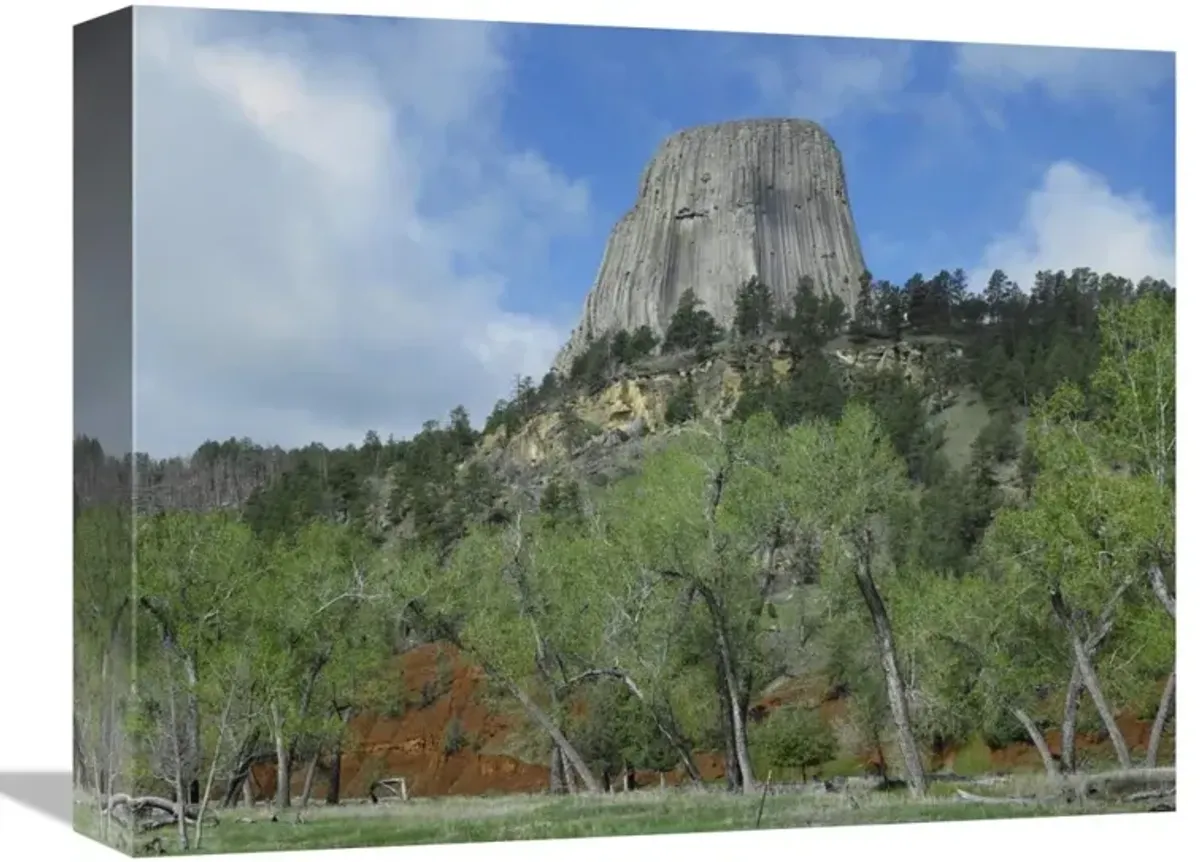 Devils Tower National Monument showing famous basalt tower, sacred site for Native Americans, Wyoming-Canvas Art-16x12