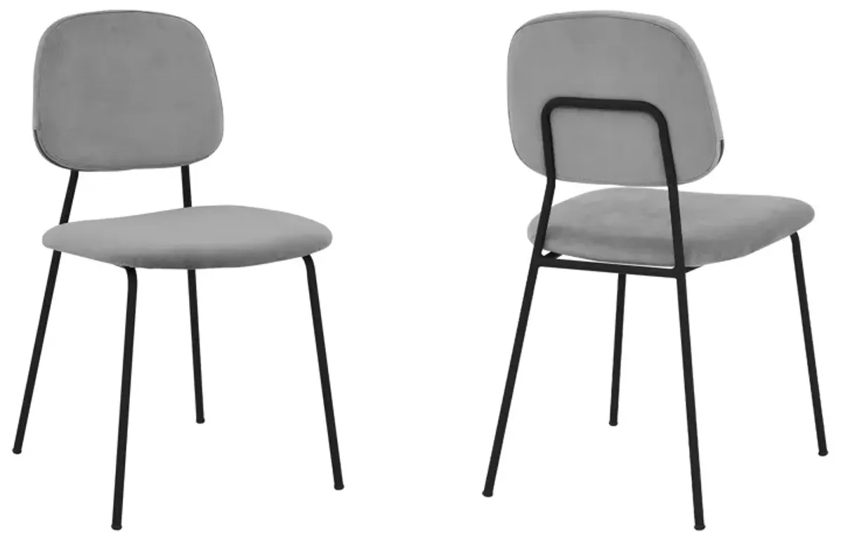 Metal Dining Chair with Velvet Upholstery, Set of 2, Black and Gray - Benzara