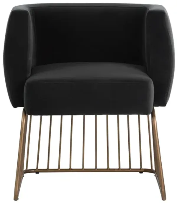 Gala Dining Armchair