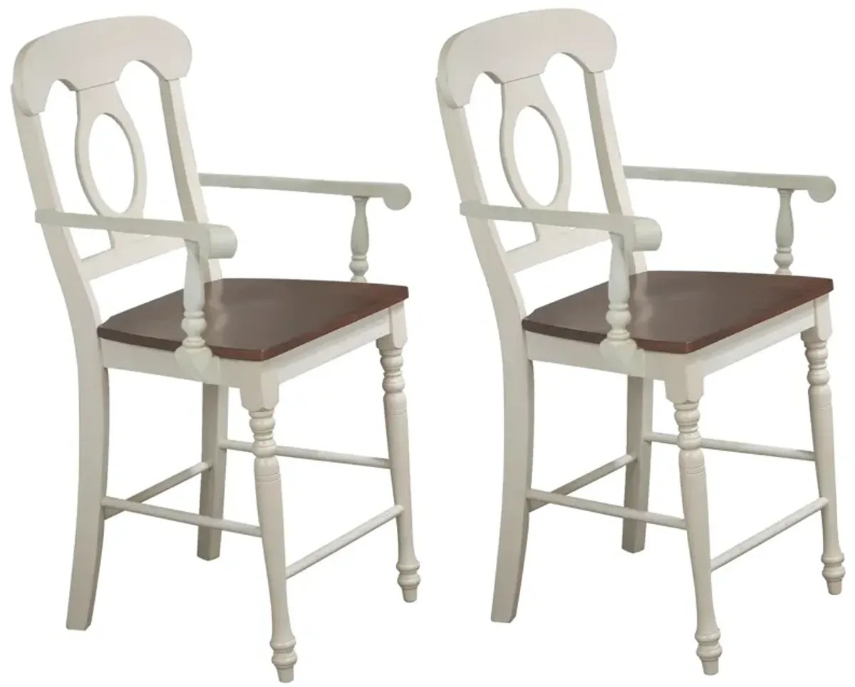 Andrews Bravo 42.5 in. High Back 24 in. Bar Stool with Solid Wood Seat (Set of 2)