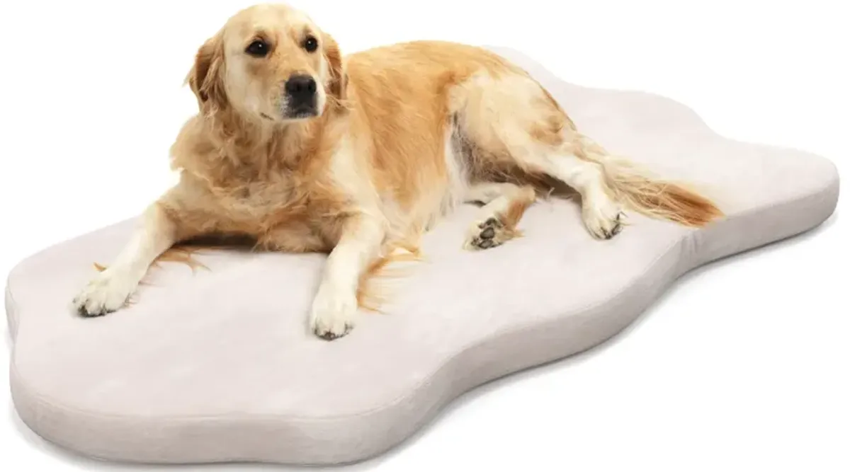 Orthopedic Dog Bed with Memory Foam Support for Large Dogs