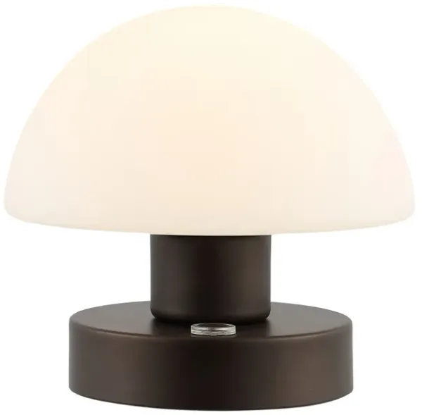 Zoe Bohemian Farmhouse Iron Rechargeable Integrated LED Table Lamp