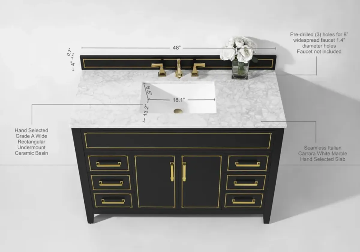 Aspen 48 in. Bath Vanity Set