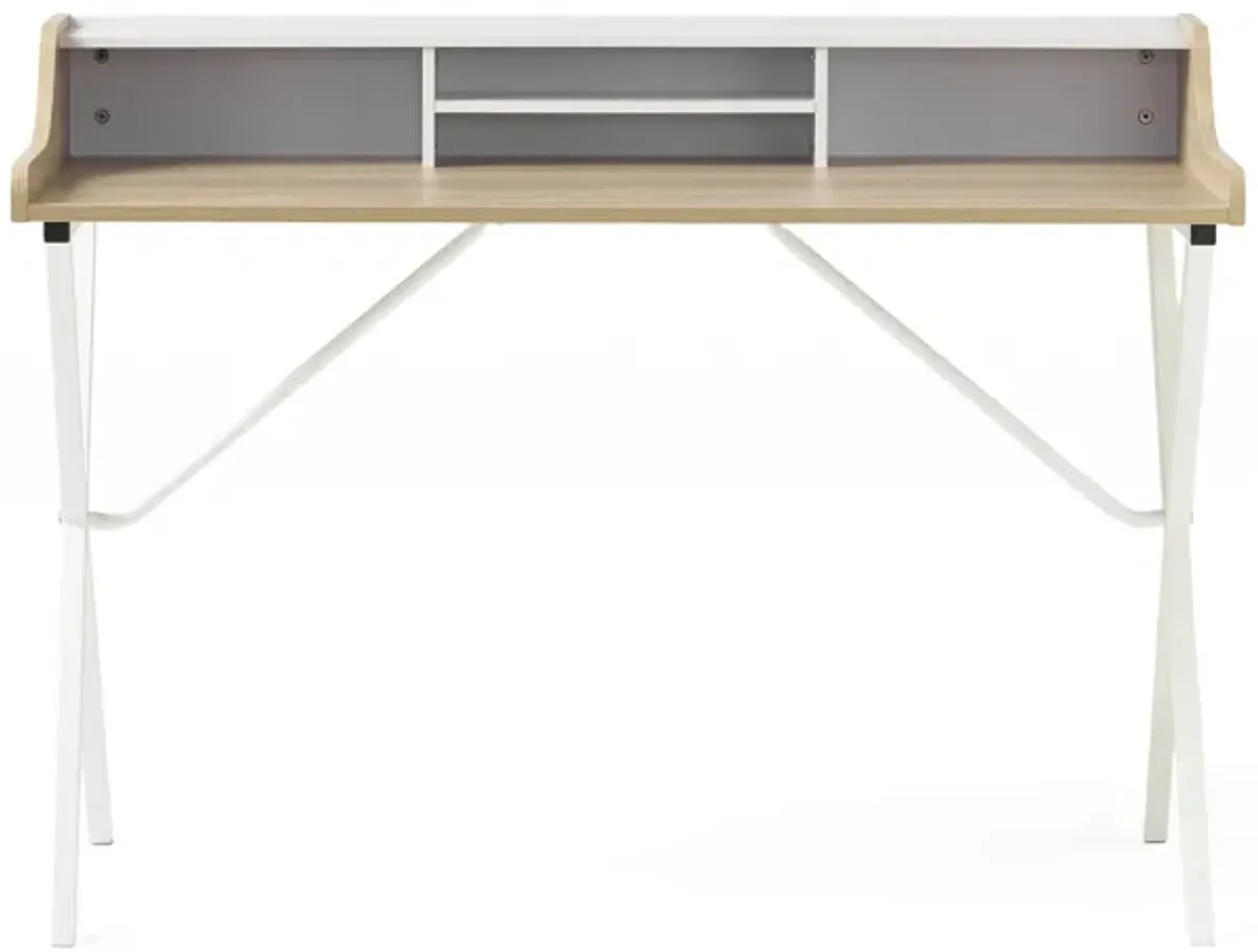 Modern Computer Desk with Storage and Durable Iron Legs