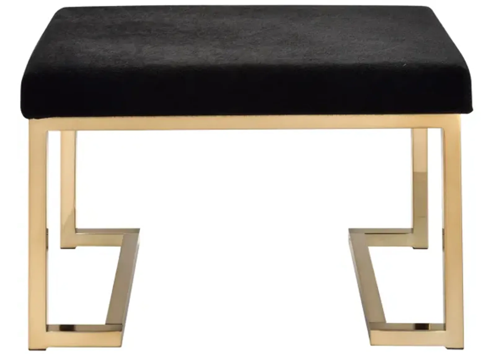 ACME Boice Ottoman, Black Fabric & Champagne